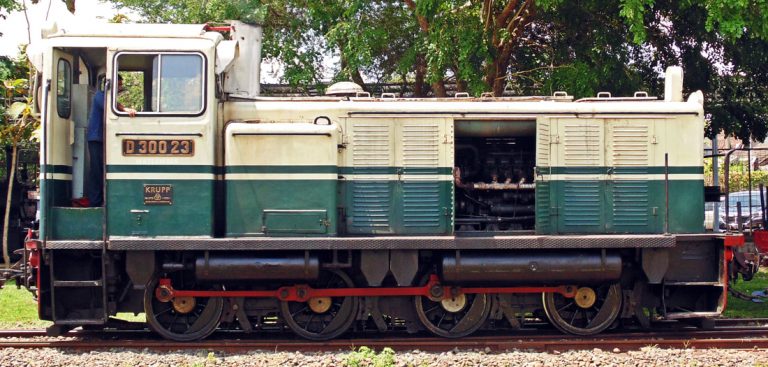 Kuda Kecil DKA (1) : D300