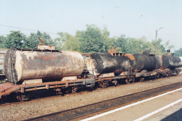 Buang Air Besar Berujung Maut, Jombang, 1997